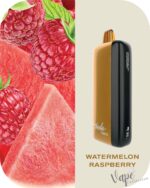 FUMMO Indic 12000 Puffs 20MG Disposable Vape Price in Dubai Watermelon Raspberry