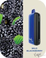 FUMMO Indic 12000 Puffs 20MG Disposable Vape Price in Dubai Wild Berries