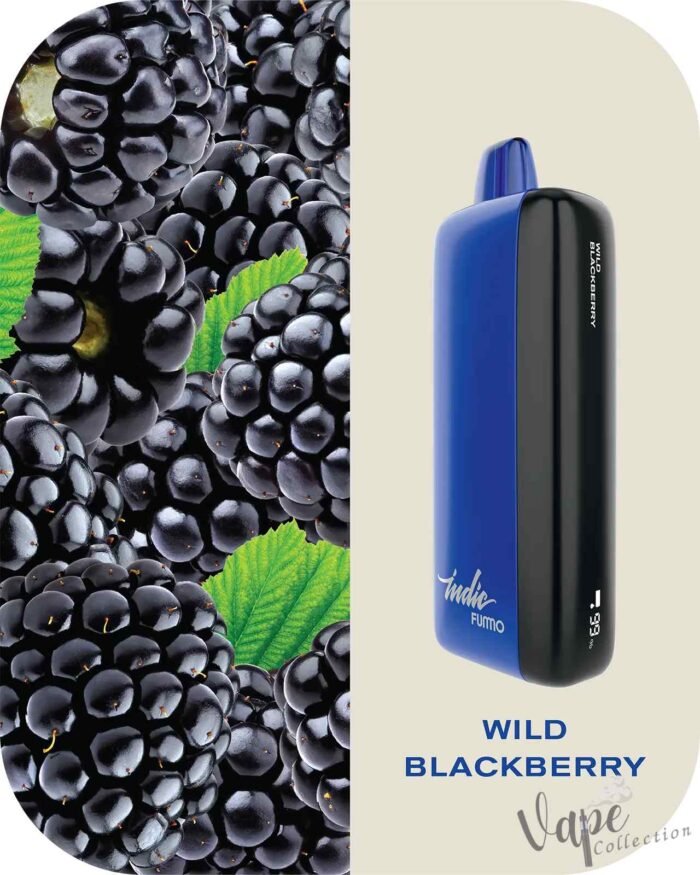 FUMMO Indic 12000 Puffs 20MG Disposable Vape Price in Dubai Wild Berries