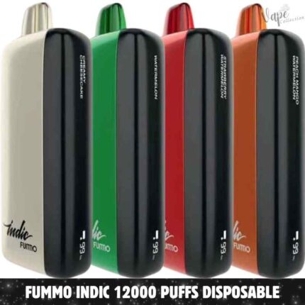 FUMMO Indic 12000 Puffs 20MG Disposable Vape in Dubai