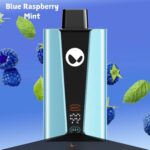 WAKA SOPRO 20000 PUFFS DISPOSABLE VAPE BLUE RASPBERRY MINT