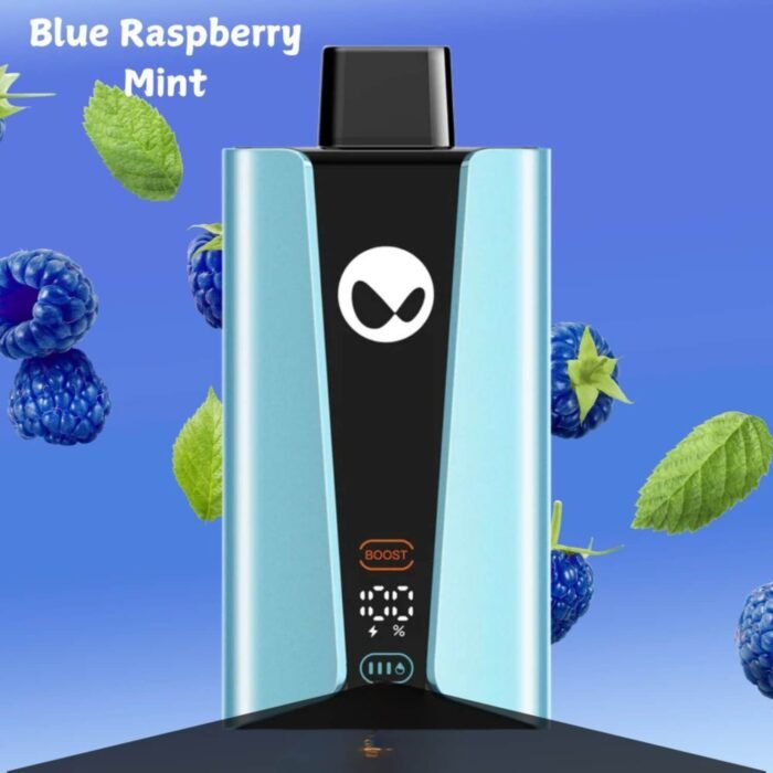 WAKA SOPRO 20000 PUFFS DISPOSABLE VAPE BLUE RASPBERRY MINT