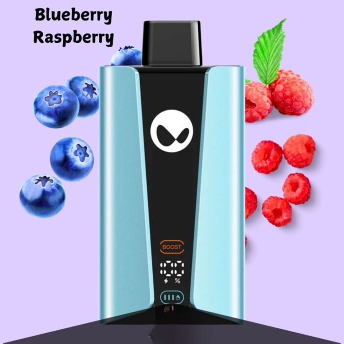 WAKA SOPRO 20000 PUFFS DISPOSABLE VAPE BLUEBERRY RASPBERRY