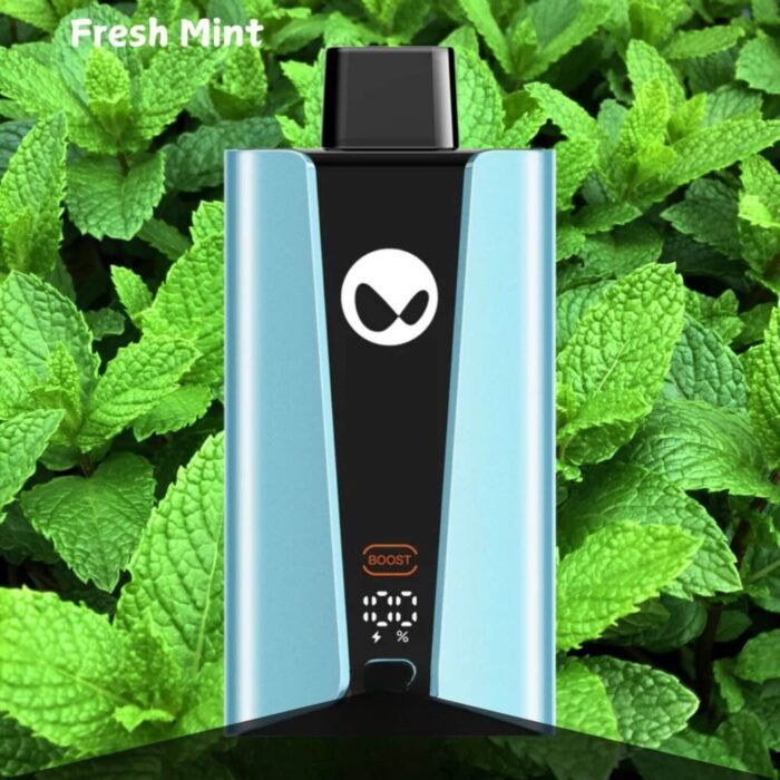 WAKA SOPRO 20000 PUFFS DISPOSABLE VAPE FRESH MINT