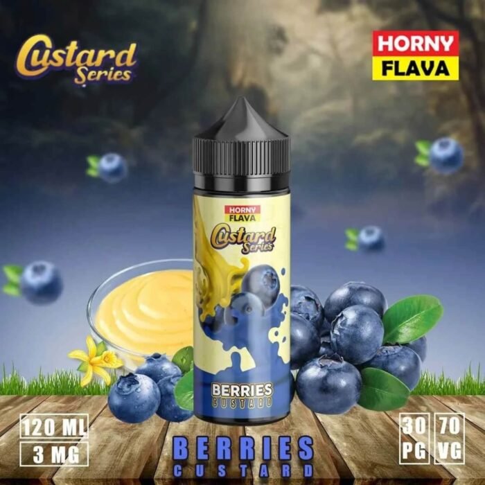 HORNY FLAVA 120 ML E-LIQUID 3MG VAPE JUICE BERRIES CUSTARD