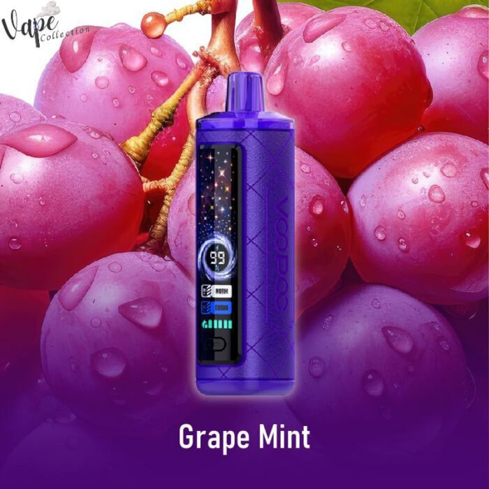 VOOPOO CLOUD X 20000 Puffs Price in Dubai GRAPE MINT