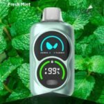 WAKA PA25000 Puffs 50MG Disposable Vape Fresh Mint