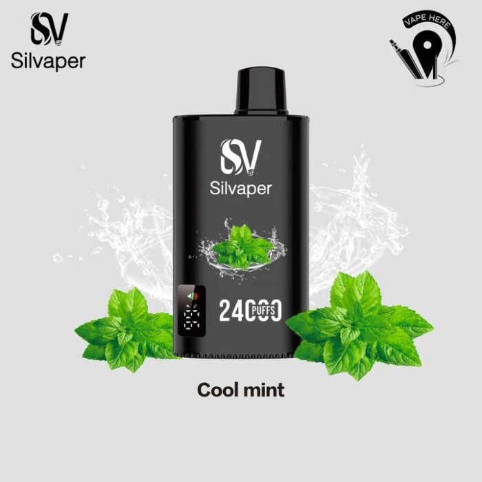 SILVAPER 24000 Puffs 20mg Disposable Vape Price in Dubai Cool Mint