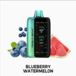 TESLA BAR XT 40000 PUFFS BLUEBERRY WATERMELON