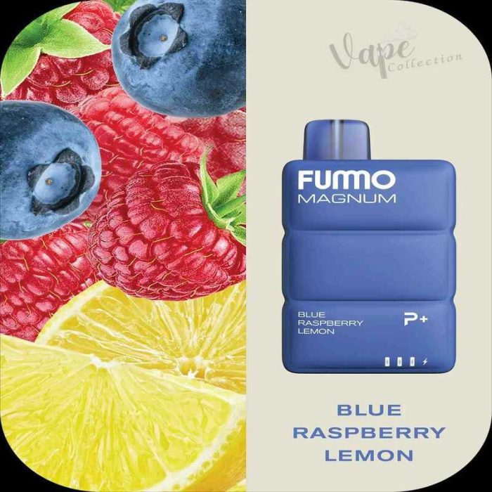 BLUE RASPBERRY LEMON FUMMO Magnum 8000 Puffs 20MG Disposable Vape Price in Dubai