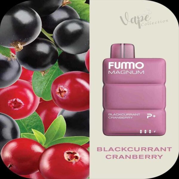 Blackcurrant Cranberry FUMMO Magnum 8000 Puffs 20MG Disposable Vape Price in Dubai