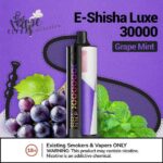 ELFBAR Shisha Luxe 30000 Puffs Disposable Vape Price in Dubai Grape Mint