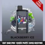 IGET Bar Pro 10000 Puffs 50MG Nicotine Disposable Vape – Buy Now