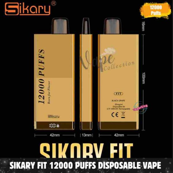 SIKARY FIT 12000 Puffs Disposable Vape 20mg_ml nicotine In UAE - Buy Now