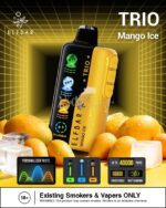 Elfbar trio up to 40000 puffs 50mg nicotine 4 mesh coil disposable vape in Dubi Mango Ice