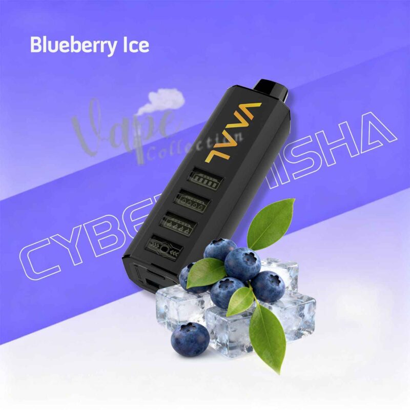 vaal-cyber-shisha-dtl-50000-puffs-5mg-blueberry-ice