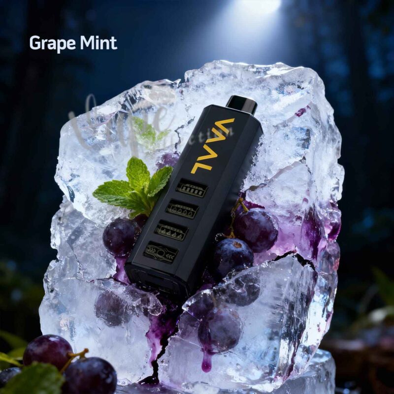 vaal-cyber-shisha-dtl-50000-puffs-5mg-grape-mint