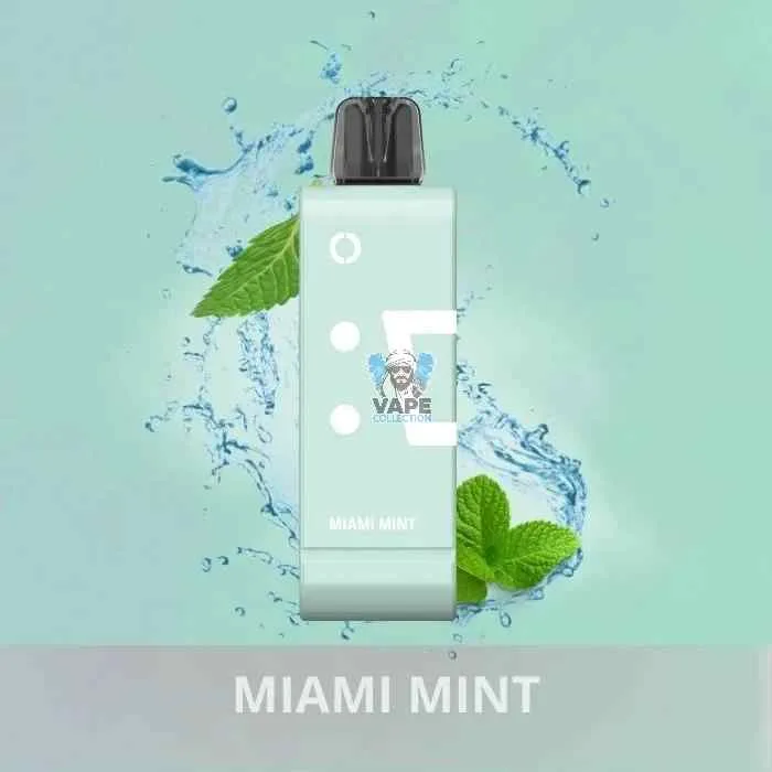 Elfbar ew 9000 puffs 50mg nicotine pods without battery pack in Dubai MIAMI_MINT