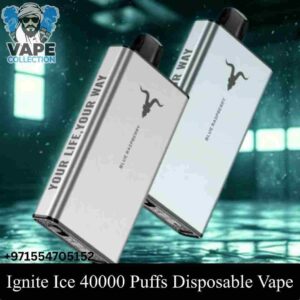 Ignite Ice 40000 Puffs Disposable Vape Icy Flavor Control In The UAE (1)