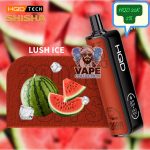 WhatsApp Image 2026-01-22 at 1.05.00 PM (1)