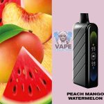 cropped_WhatsApp Image 2026-01-19 at 7.31.35 PM (1)