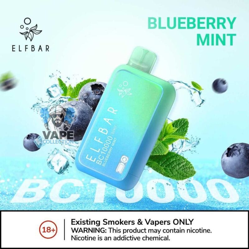 ELF BAR BC10000 2___Blueberry Mint